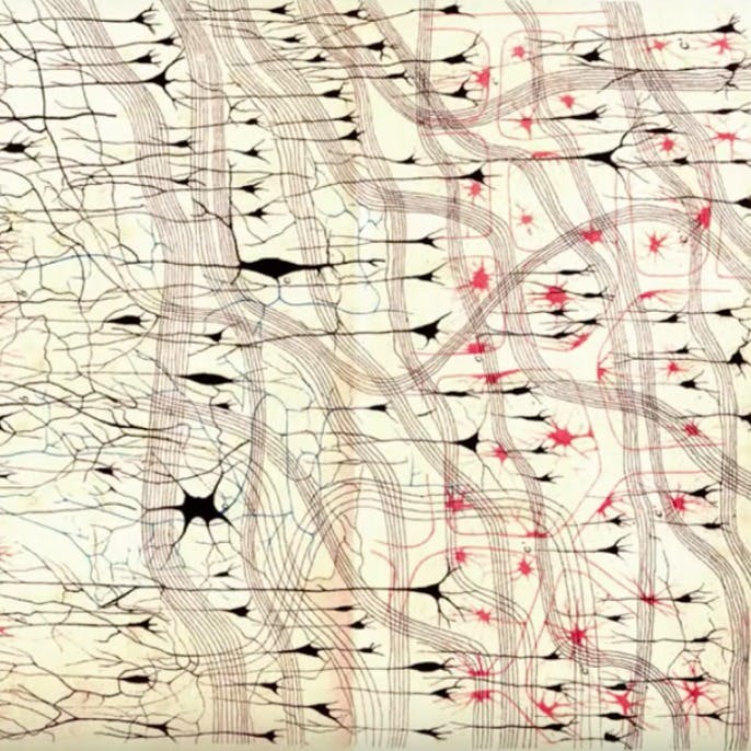 The space of functions computed by deep layered machines